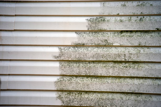 Siding for Multi-Family Homes in Mandeville, LA